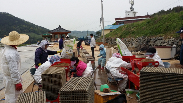 크기변환_s-고성군,_생명환경농업_벼_파종_및_못자리_설치_지도_나서(하이면_월흥단지)