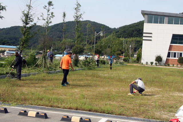 사본 -대가면 청년회 봉사활동사진 2