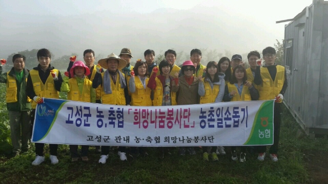 6408고성군 농.축협 「희망나눔봉사단」배추밭 잡초제거 자원봉사