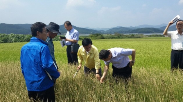 크기변환_s-농축산식품부_차관보_거류면_감서리_숭의원_마을_가뭄현장_방문.3.jpg