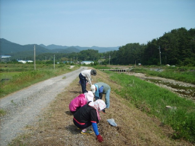 크기변환_s-생태하천정비사업(지역공동체일자리).jpg