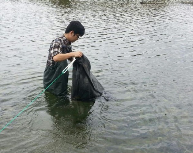 크기변환_고성_영오면,_은어수정란_400만_개_방류.jpg