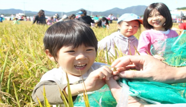 크기변환_메뚜기잡기 (메뚜기 무서워요).jpg