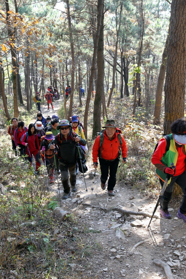 200엄홍길대장과 함께하는 공룡나라 거류산 등산축제(2).JPG