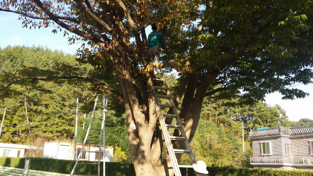 640고성교육지원청-학교시설관리지원 사진1.jpg