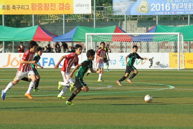 6402015 고성군 전국 초등 축구리그 왕중왕전.JPG