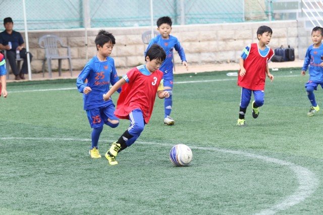 지난해 고성공룡컵 리틀K리그 전국유소년 축구대회  (1).JPG