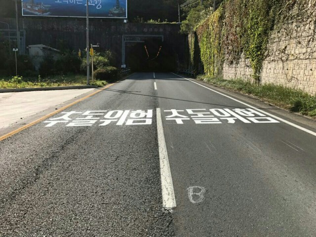 1478254024497.jpg