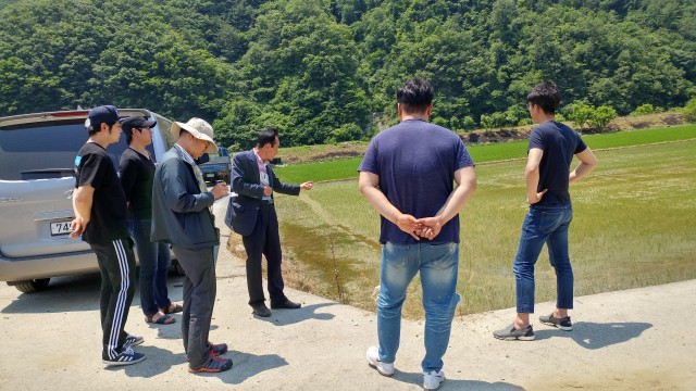 한국 농수산대학교, 영현면 벼 직파재배현장 방문 (1).jpg