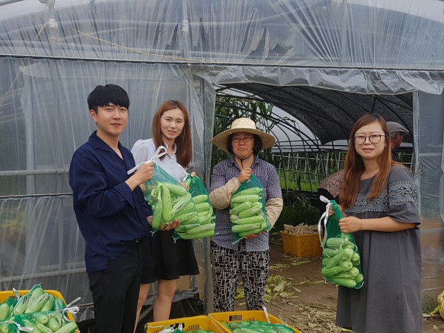 영현면사무소 귀농인 돕기-왼쪽에서 세번째 김식자씨(1).jpg