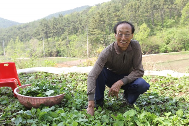 삼산면 장치리 장백마을의 심부름꾼, 이상근 이장 (2).JPG