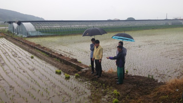 이정곤 경남도 농정국장, 고성군 모내기 현장 방문.jpg