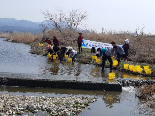 고성군, 은어 어린고기 4만마리 방류(영오천) (3).jpg