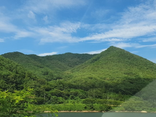 고성군, 산림청 ‘2020년 선도 산림경영단지 공모사업’ 선정(대가면 갈천리).jpg