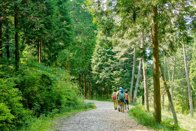 1-1 6월부터 갈모봉산림욕장을 자연휴양림으로 조성 착수.jpg