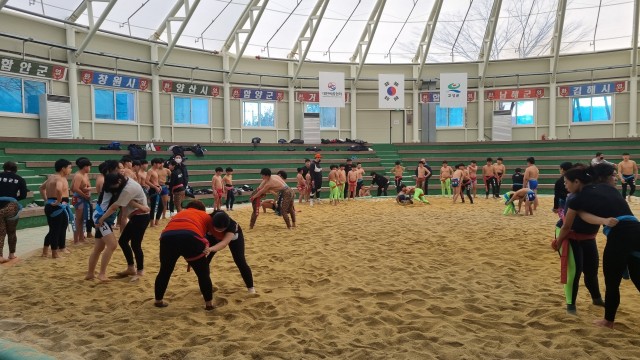 2-3 고성군, ‘동계 전지 훈련팀 유치’ 소상공인에게 큰 힘_씨름 전지훈련.jpg