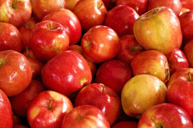 apples-background-SBI-300217146.jpg