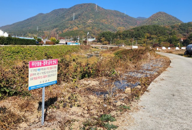 9-1 고성군, 하천 내 무단 경작행위 일제 정비에 나서_구만천.jpg