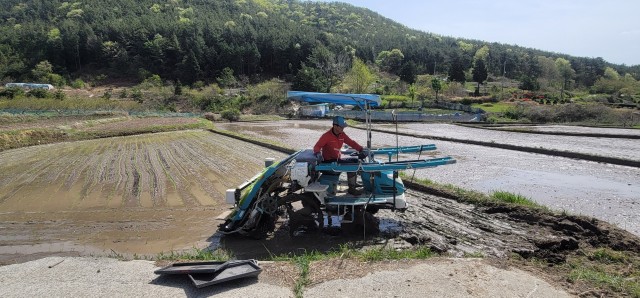 5-1 삼산면, 고성군 첫 모내기.jpg