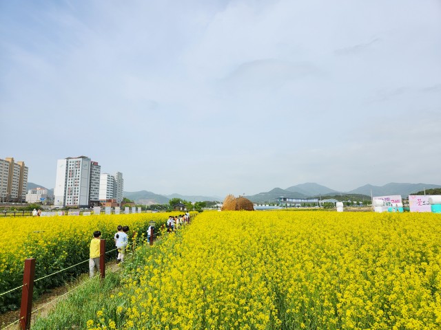 1-2 고성군, 2024년도 경관보전직불제 사업 추진.jpg