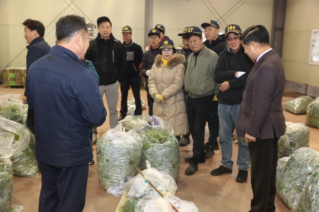 3-2 봄기운 가득한 취나물 맛보세요!.JPG